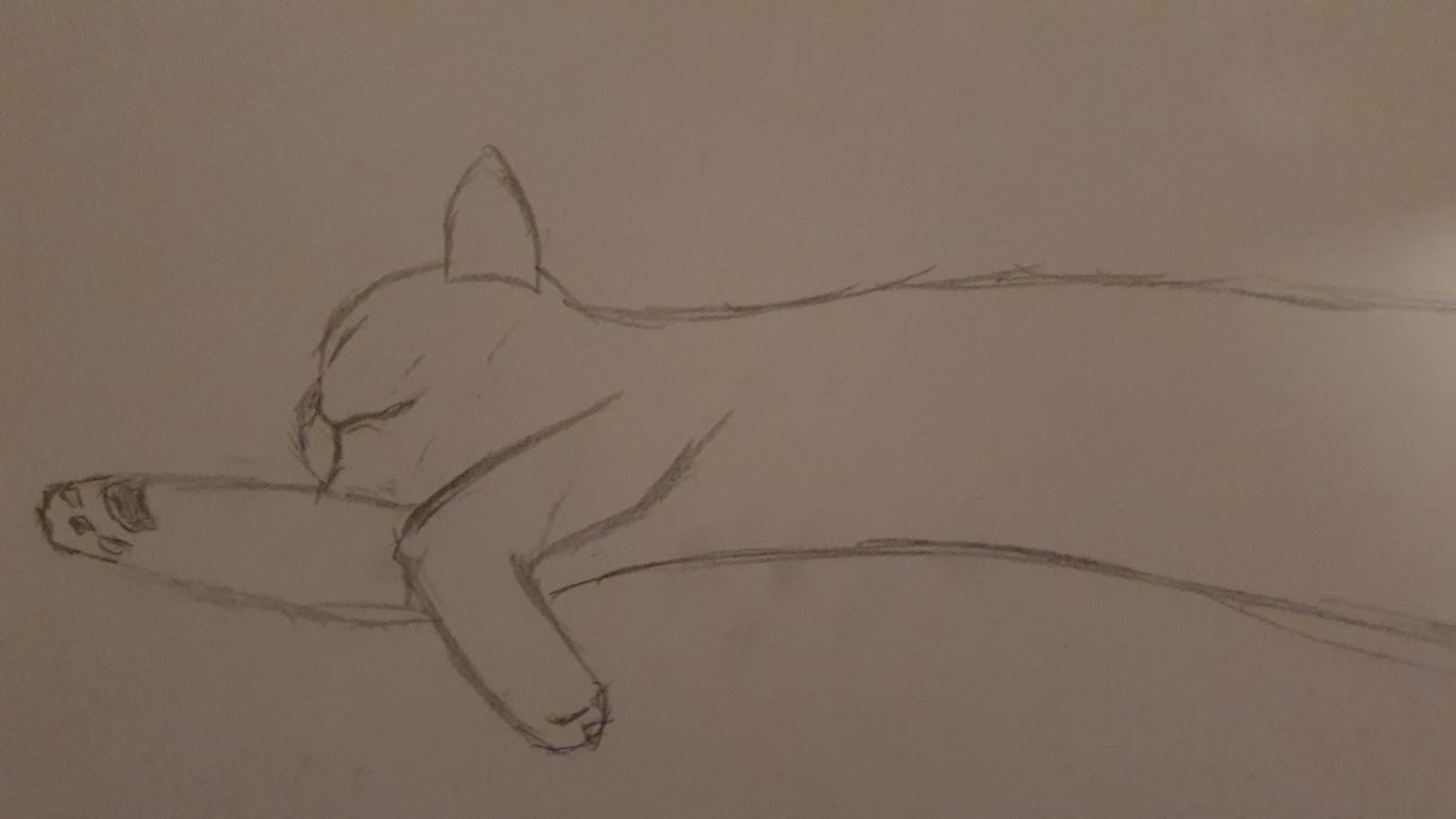 a drawing of a long cat stretching out its paw